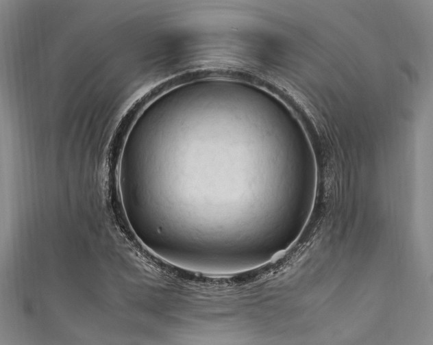 X0000111600975200907161549