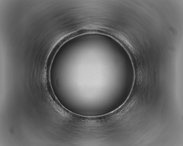 X0000111600976200907161549