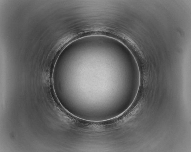 X0000111600977200907161549