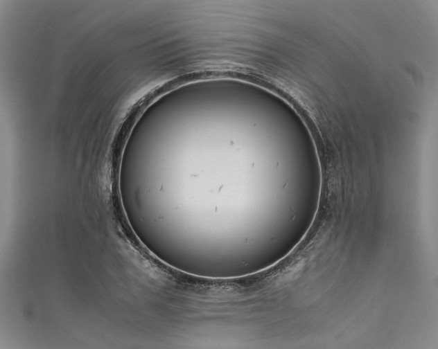 X0000111600979200907161549