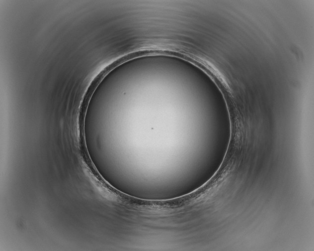X0000111600980200907161549