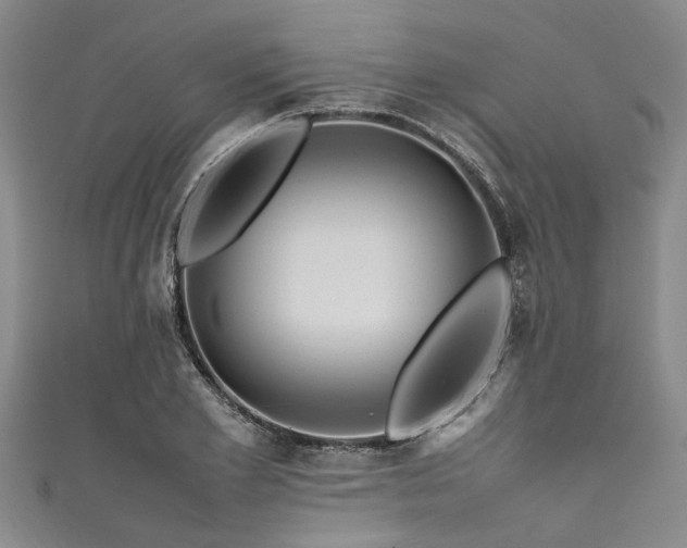X0000111600981200907161549