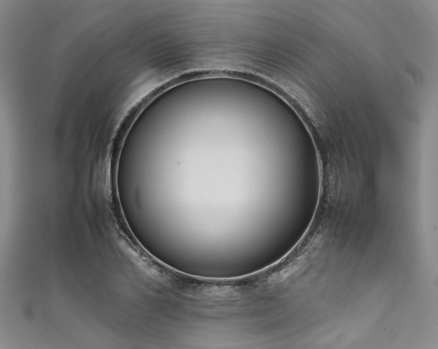 X0000111600982200907161549