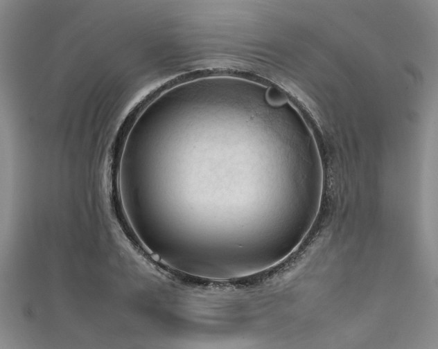 X0000111600983200907161549