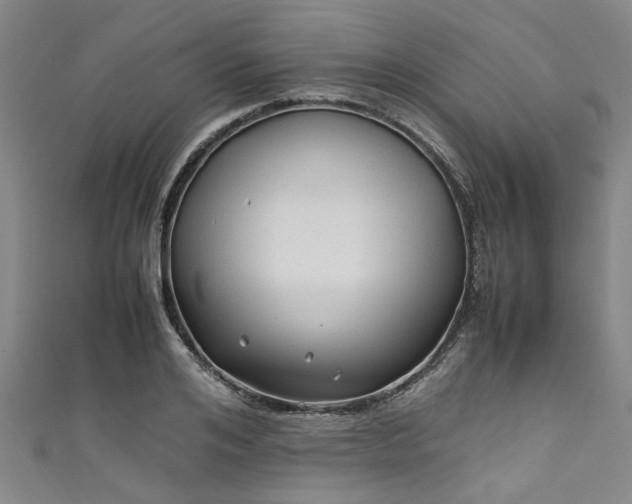 X0000111600984200907161549