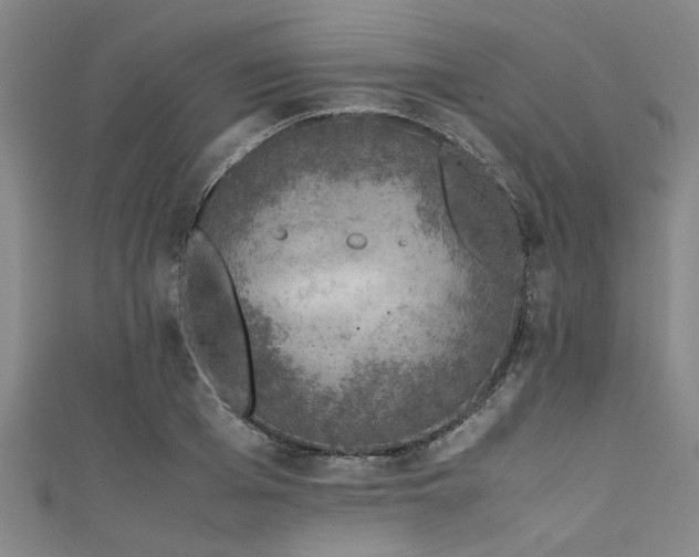 X0000111600985200907161549