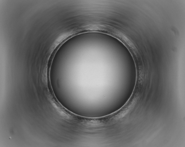 X0000111600986200907161549