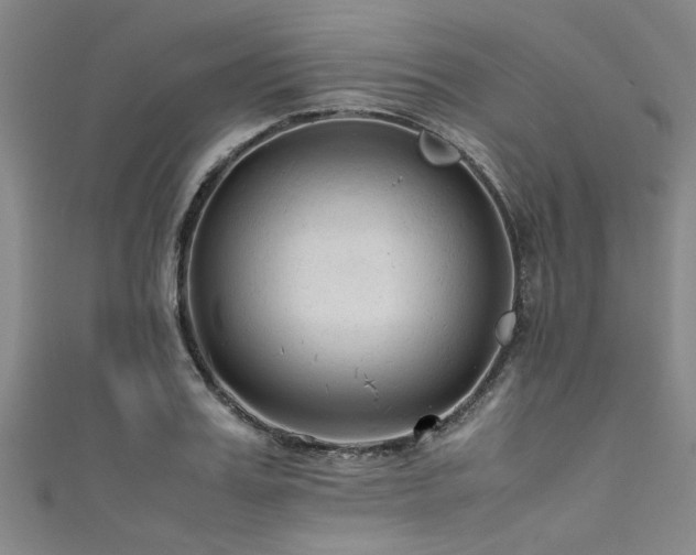 X0000111600987200907161549