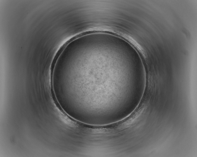 X0000111600988200907161549