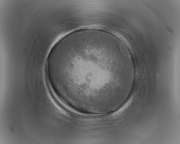 X0000111600989200907161549