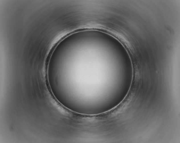 X0000111600990200907161549