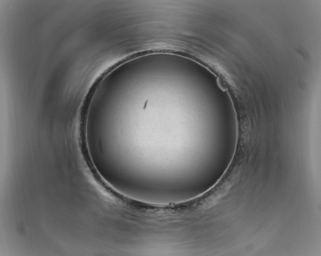 X0000111600991200907161549