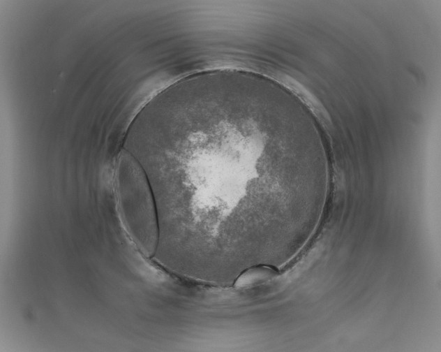 X0000111600993200907161549