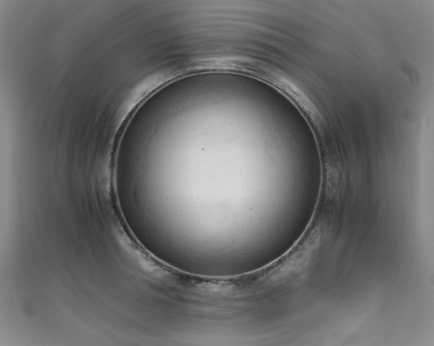 X0000111600994200907161549