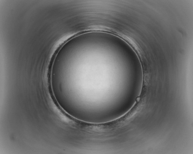 X0000111600995200907161549