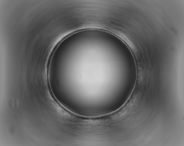 X0000111600996200907161549