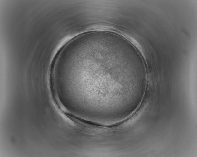 X0000111600997200907161549