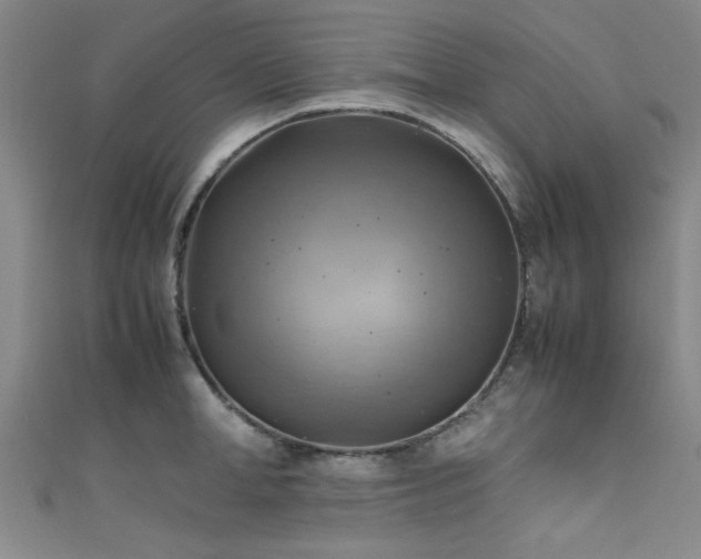 X0000111600998200907161549