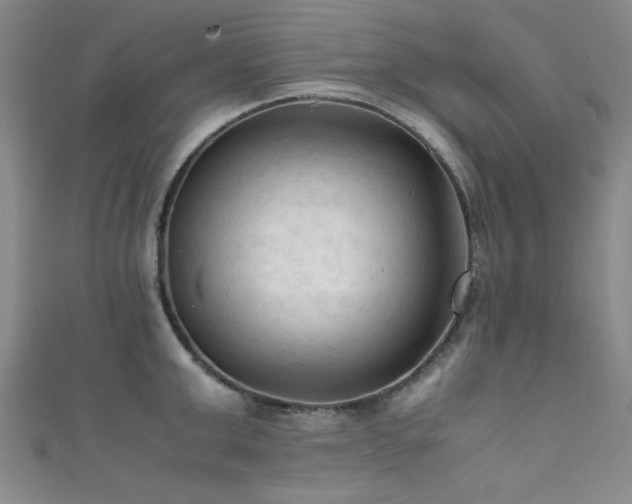 X0000111600999200907161549