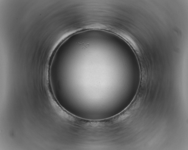 X0000111601000200907161549