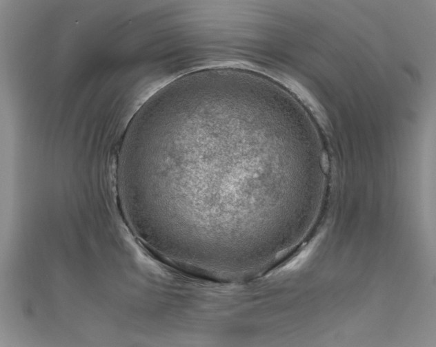 X0000111601001200907161549