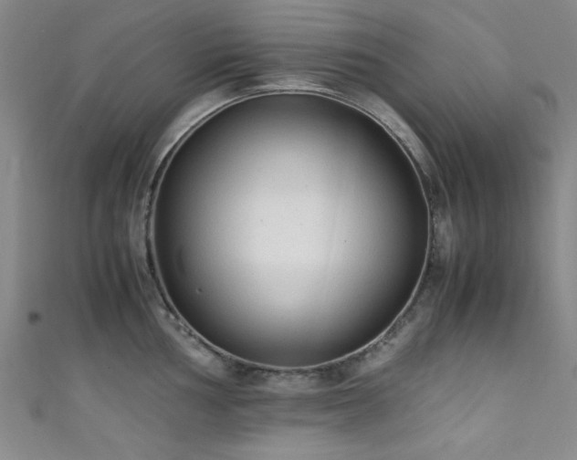 X0000111601002200907161549