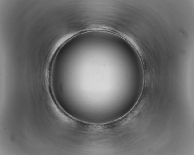 X0000111601003200907161549