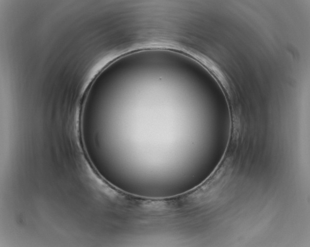 X0000111601006200907161549