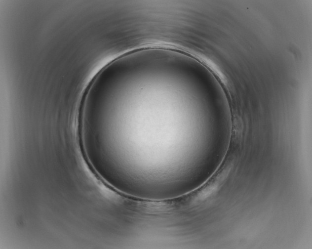 X0000111601007200907161549