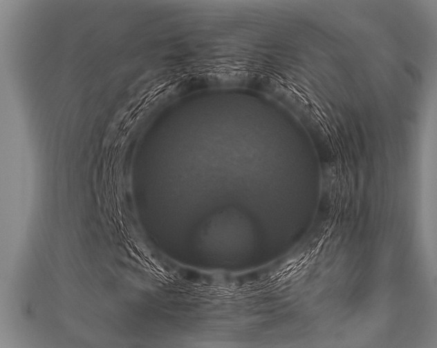 X0000111601009200907161548