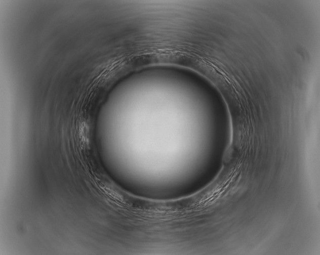 X0000111601010200907161548