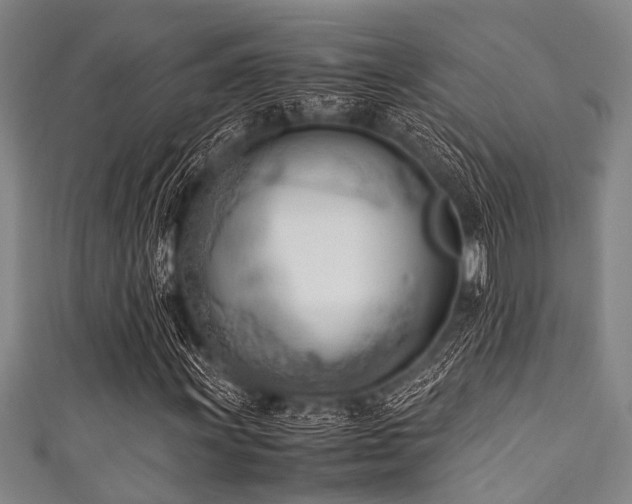 X0000111601011200907161548