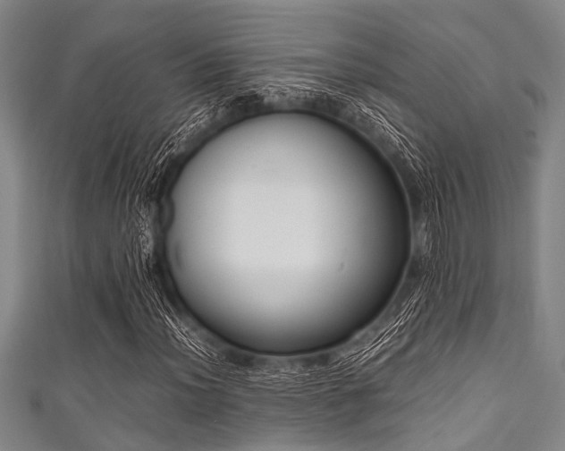 X0000111601012200907161548