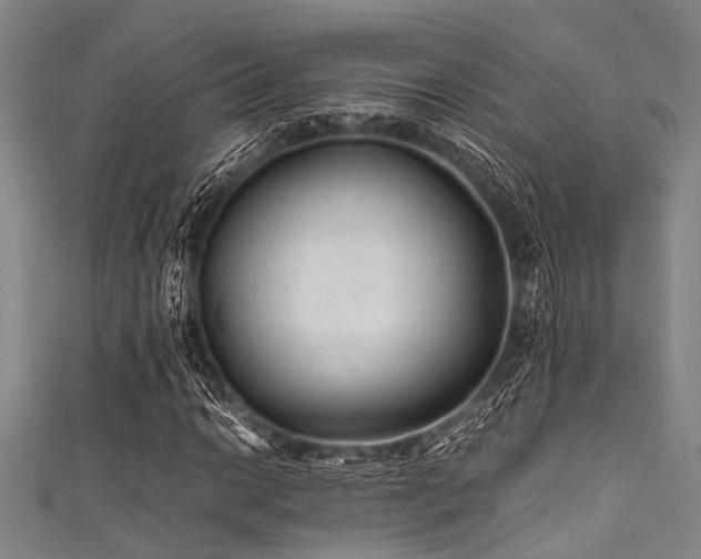 X0000111601014200907161548