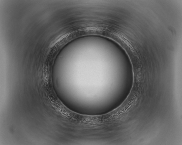 X0000111601015200907161548