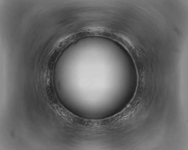 X0000111601016200907161548