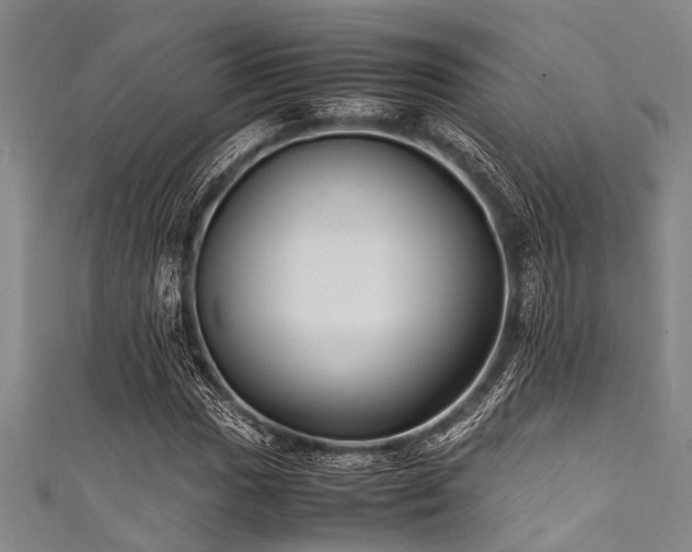 X0000111601017200907161548
