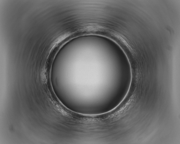 X0000111601018200907161548