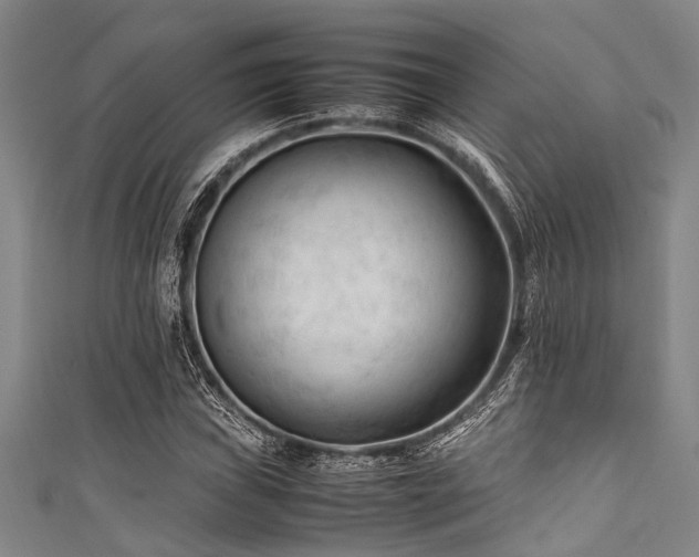 X0000111601019200907161548