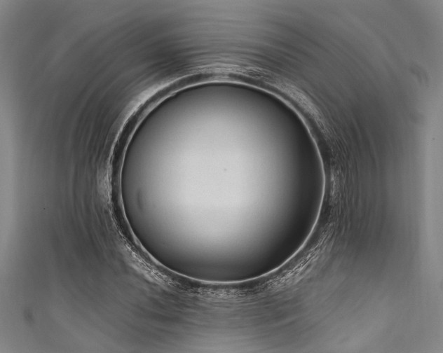 X0000111601020200907161548