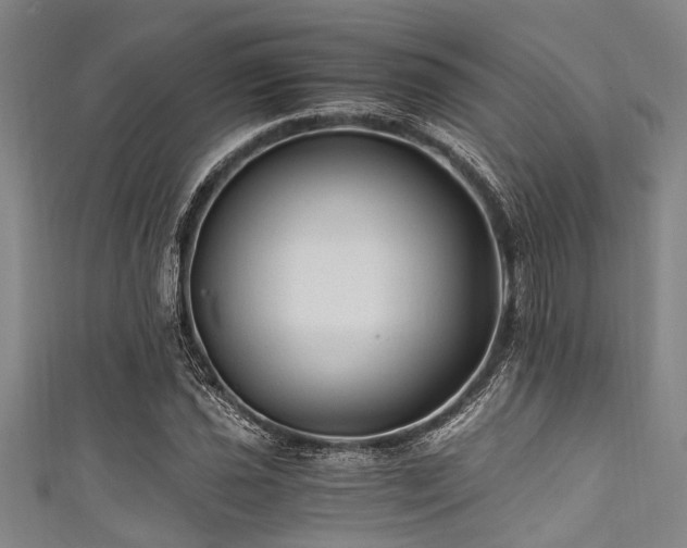 X0000111601021200907161548