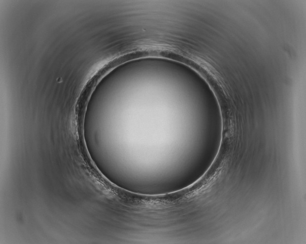 X0000111601022200907161548