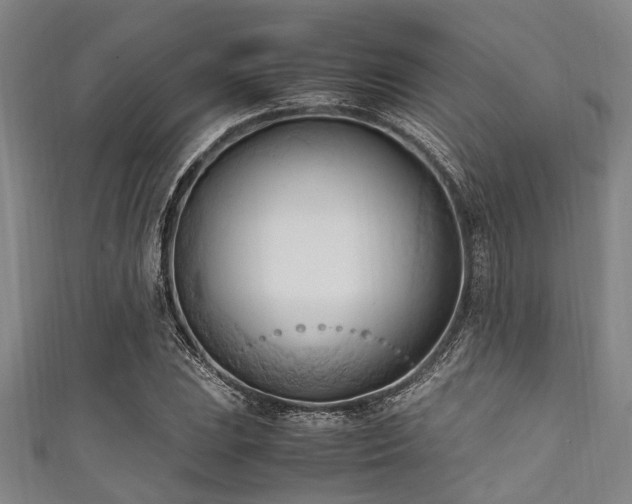 X0000111601023200907161548