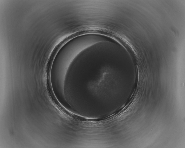 X0000111601024200907161548