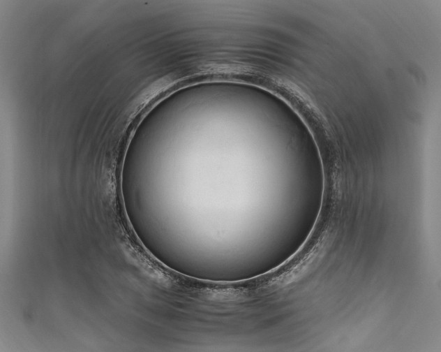 X0000111601025200907161548