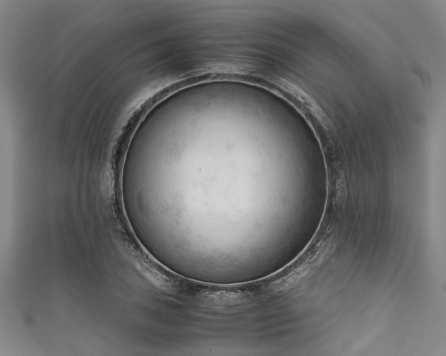 X0000111601027200907161548