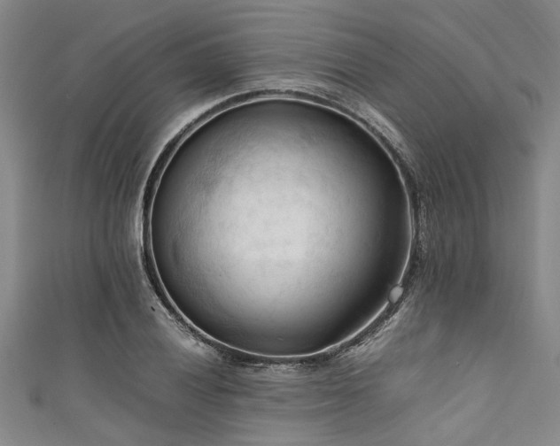 X0000111601028200907161549
