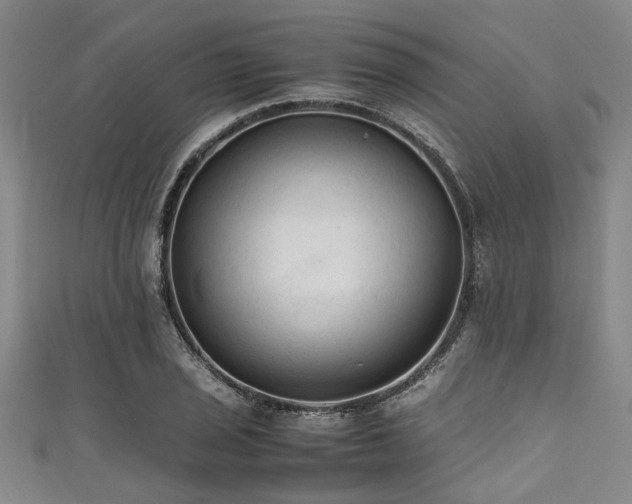 X0000111601029200907161549