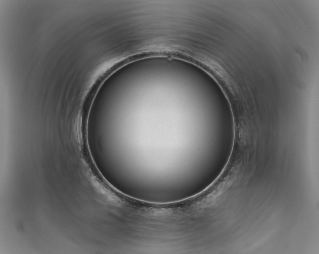 X0000111601030200907161549