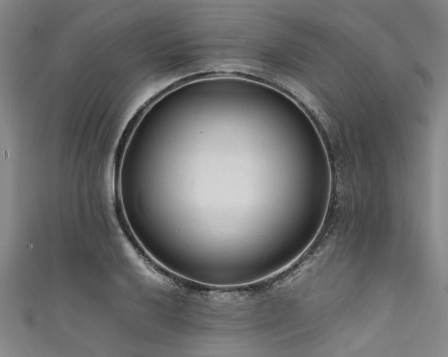 X0000111601032200907161549